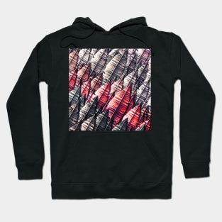 FEUERVOGEL Hoodie